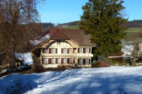 P1000600 Schlosswil copy